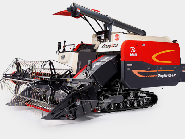 常德做网站公司